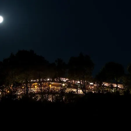 Marabou Chorefto 2* חורפטו