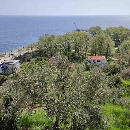 מלון Marabou Chorefto