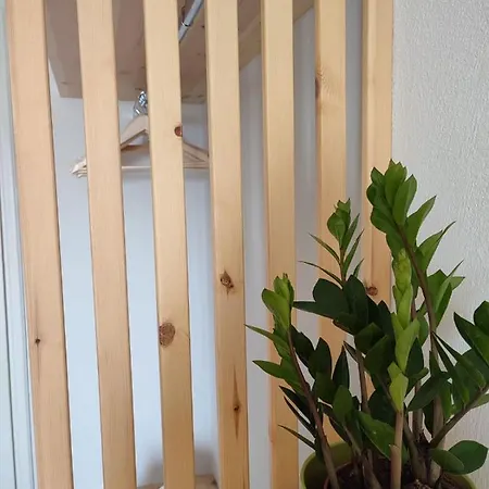 Hotel Marabou Chorefto 2*