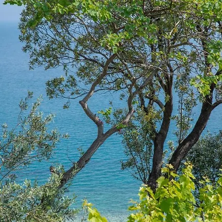 μαραμπού Ξενοδοχείο 2*