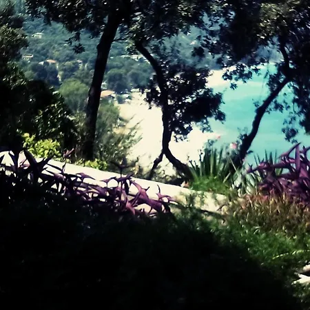 Marabou Chorefto 2* חורפטו