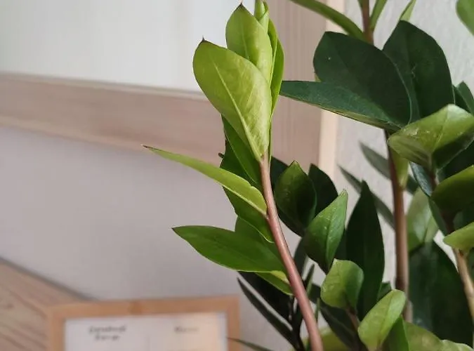 Otel Marabou Chorefto 2*