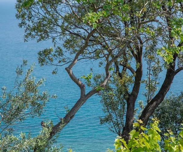 Marabou Chorefto Otel 2*