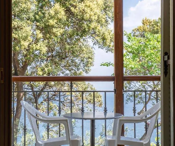 Marabou Chorefto חורפטו