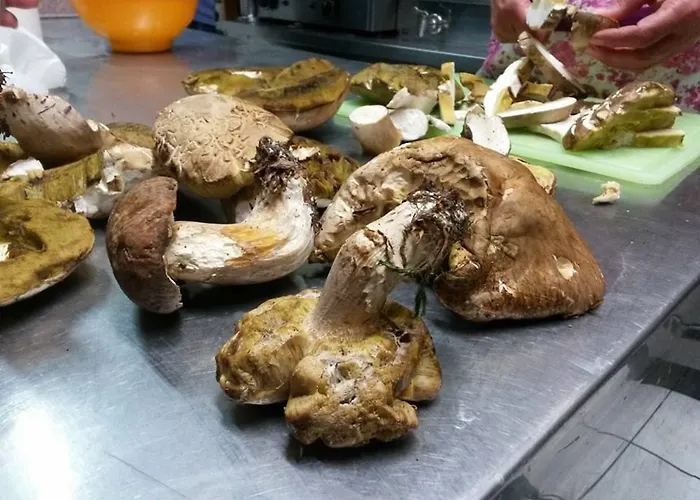 Otel Marabou Chorefto 2*