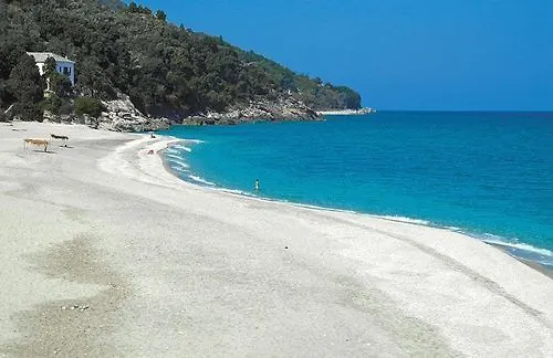 Marabou Chorefto Chorefton