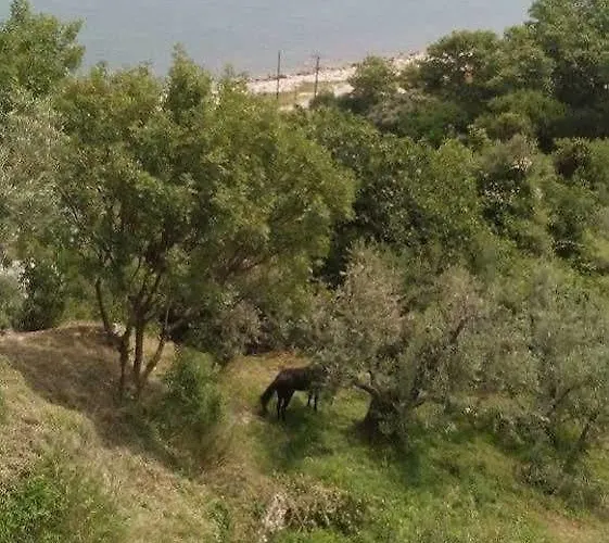 Marabou Chorefto Otel Chorefton